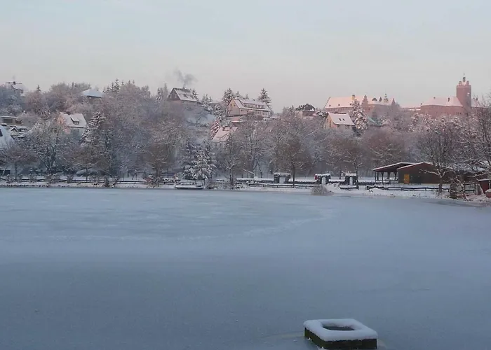 Pansiyon Dz Blesse *