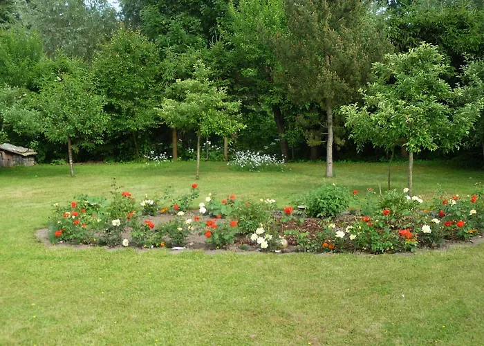 Pansiyon Dz Blesse *